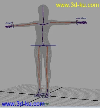 3D打印模型人物简单骨骼绑定的图片