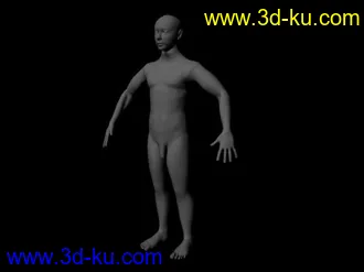 菜鸟人体模型的图片