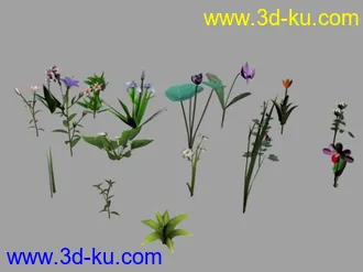 3D打印模型花花草草（低模）的图片