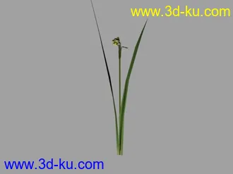 3D打印模型花花草草（低模）的图片