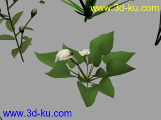 3D打印模型花花草草（低模）的图片