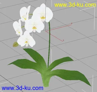 3D打印模型花花草草（高模）的图片