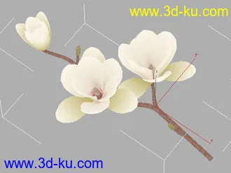 3D打印模型花花草草（高模）的图片