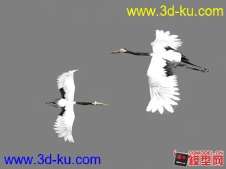 3D打印模型仙鹤的图片