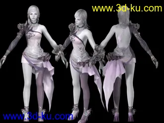 3D打印模型永恒之塔玫瑰皮革套装的图片