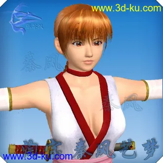 3D打印模型DOA死或生美女MM霞 转载 包含骨骼的图片