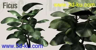 3D打印模型植物的图片