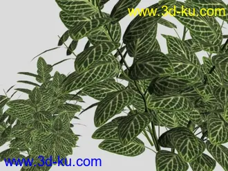 3D打印模型植物3的图片