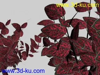 3D打印模型植物4的图片