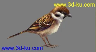 3D打印模型麻雀的图片