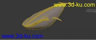 3D打印模型蓝鲸高模一个的图片