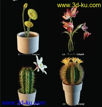 3D打印模型花的图片