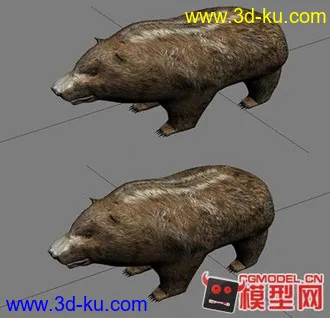 3D打印模型狗熊（纯手绘），大家来PP的图片