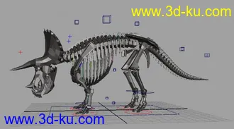 3D打印模型恐龙骨架2的图片