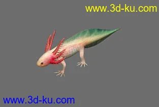 3D打印模型彩色鱼的图片