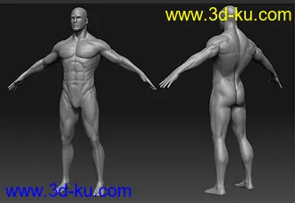 老外精细男性人体模型 ZTL OBJ的图片