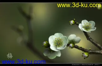 影视 花+古楼 模型带贴图的图片