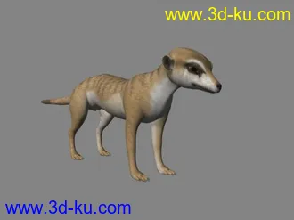 3D打印模型猫鼬就是狮子王里的丁满。。。的图片