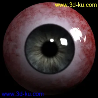 3D打印模型新鲜的眼球。纯节点材质！的图片