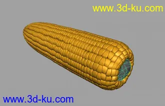 一个玉米模型的图片