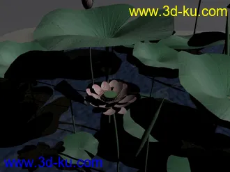 3D打印模型绝非一般的荷花！！带贴图的！！的图片