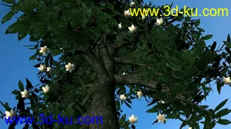 3D打印模型写实 树的图片