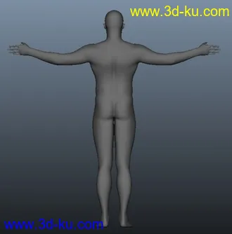 3D打印模型标准比例男性人体的图片