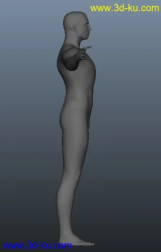 3D打印模型标准比例男性人体的图片
