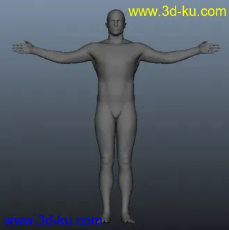 3D打印模型标准比例男性人体的图片