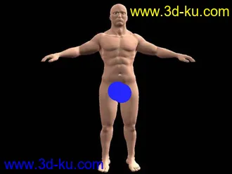 3D打印模型高精写实男人体+肌肉系统的图片