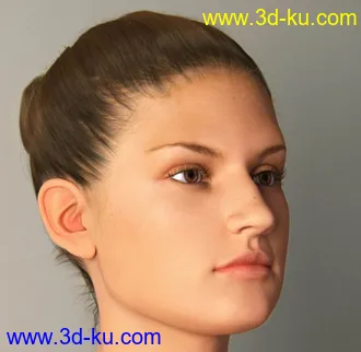 3D打印模型基础人体的图片