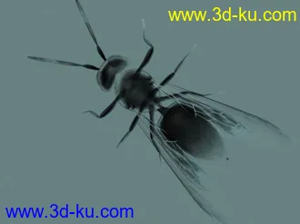 3D打印模型水墨苍蝇的图片
