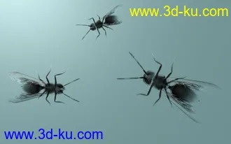 3D打印模型水墨苍蝇的图片