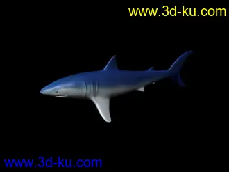 3D打印模型鲨鱼的图片