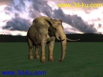 3D打印模型发一些蛮好的动物的图片