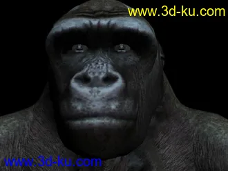 3D打印模型发一些蛮好的动物的图片