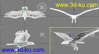 3D打印模型写实的老鹰，没带贴图的图片