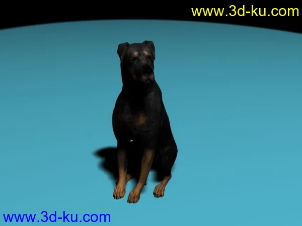 3DS带贴图黑狗模型的图片1