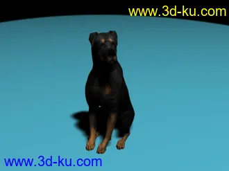3D打印模型3DS带贴图黑狗的图片