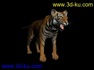 3D打印模型瘦瘦的老虎，哈哈，既像写实的又像卡通玩偶，带贴图，和大家分享一下的图片
