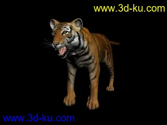 3D打印模型瘦瘦的老虎，哈哈，既像写实的又像卡通玩偶，带贴图，和大家分享一下的图片