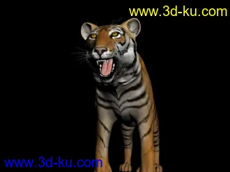 3D打印模型瘦瘦的老虎，哈哈，既像写实的又像卡通玩偶，带贴图，和大家分享一下的图片