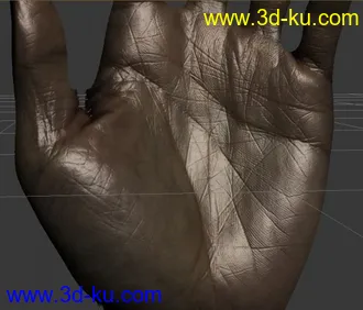 3D打印模型掃瞄的真人手的图片