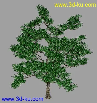 3D打印模型刚刚做的一棵树··的图片