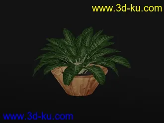 3D打印模型一个小盆景的图片