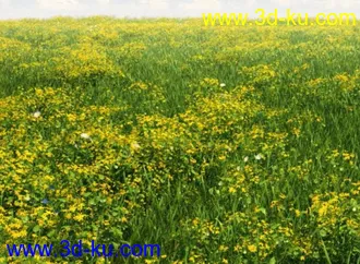 3D打印模型见论坛里没有很好的草地所以上传4块很细致的草地,大家应该能用上的图片