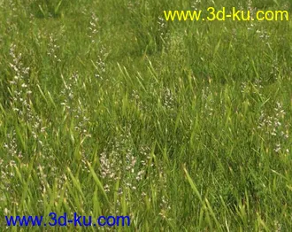 3D打印模型见论坛里没有很好的草地所以上传4块很细致的草地,大家应该能用上的图片