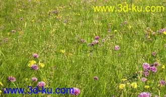 3D打印模型见论坛里没有很好的草地所以上传4块很细致的草地,大家应该能用上的图片