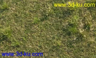 3D打印模型见论坛里没有很好的草地所以上传4块很细致的草地,大家应该能用上的图片