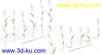 3D打印模型见论坛里没有很好的草地所以上传4块很细致的草地,大家应该能用上的图片